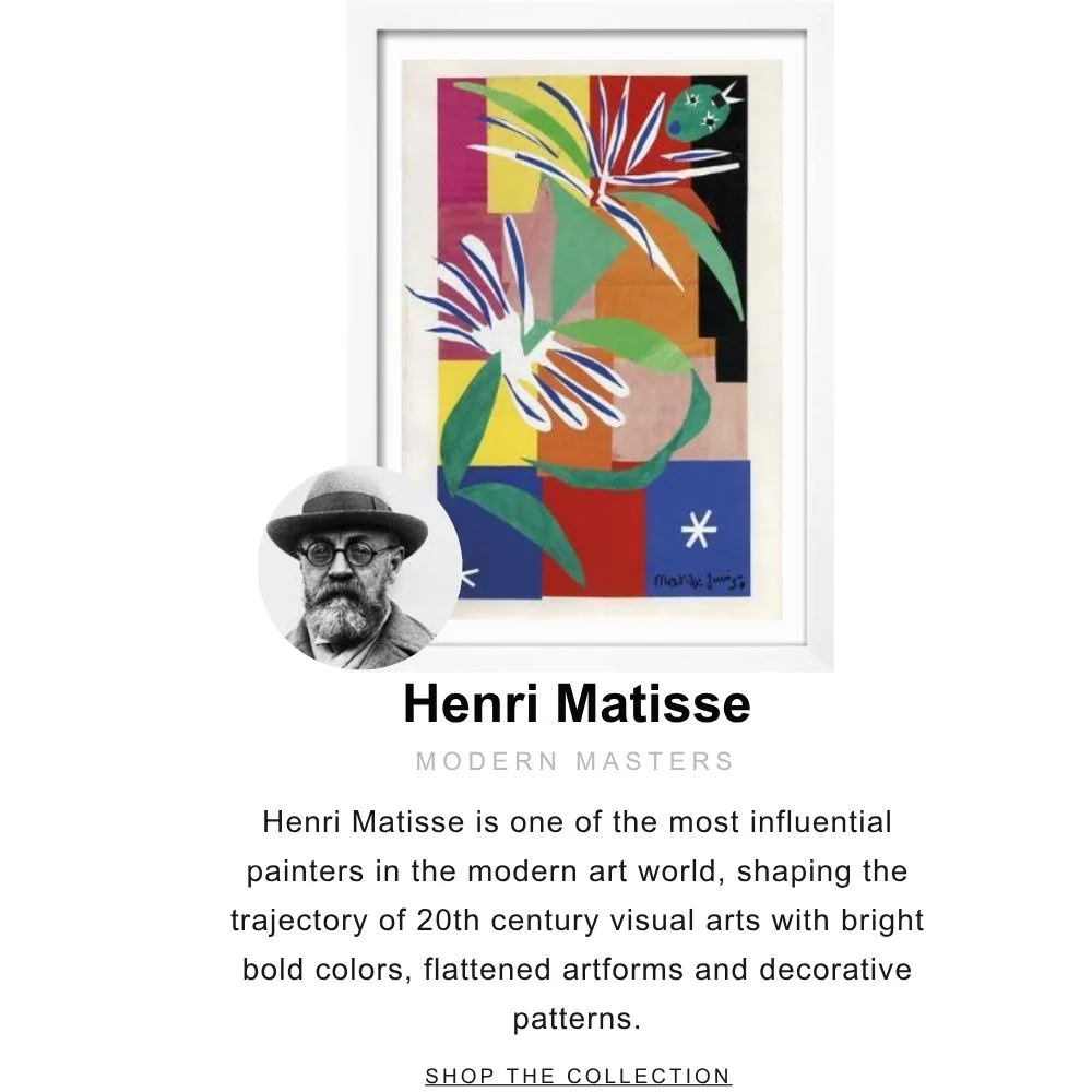 Hero 4 Shop Henri Matisse